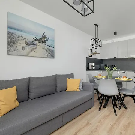Appartement Exclusive And Modern Grey With Furnished Balcony In By Renters